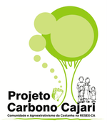 Carbono Cajari