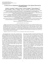 Ecclinusa nervosa (Sapotaceae, Chrysophylloideae), a New Species Discovered in Central Amazonia