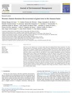 Warmer climate threatens the occurrence of giant trees in the Amazon basin